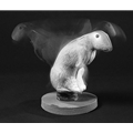 Feather-Flex Rigor Rabbit