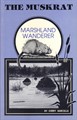The Muskrat: Marshland Wanderer